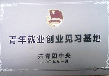 2009年1月，“青年餐廳”被“共青團(tuán)中央”認(rèn)證為“青年就業(yè)創(chuàng)業(yè)見習(xí)基地”